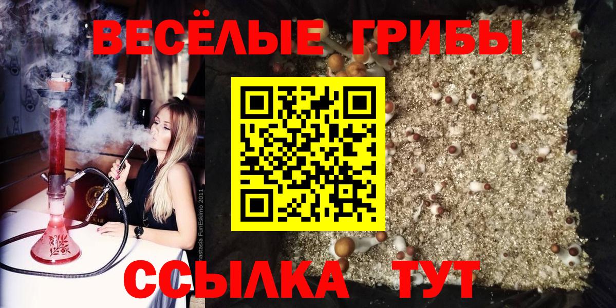 Псилоцибиновые грибы GOLDEN TEACHER Шебекино