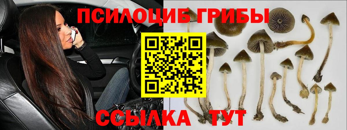 Галлюциногенные грибы Psilocybe  Псилоцибиновые грибы Cubensis  Шебекино  Вход с VPN 